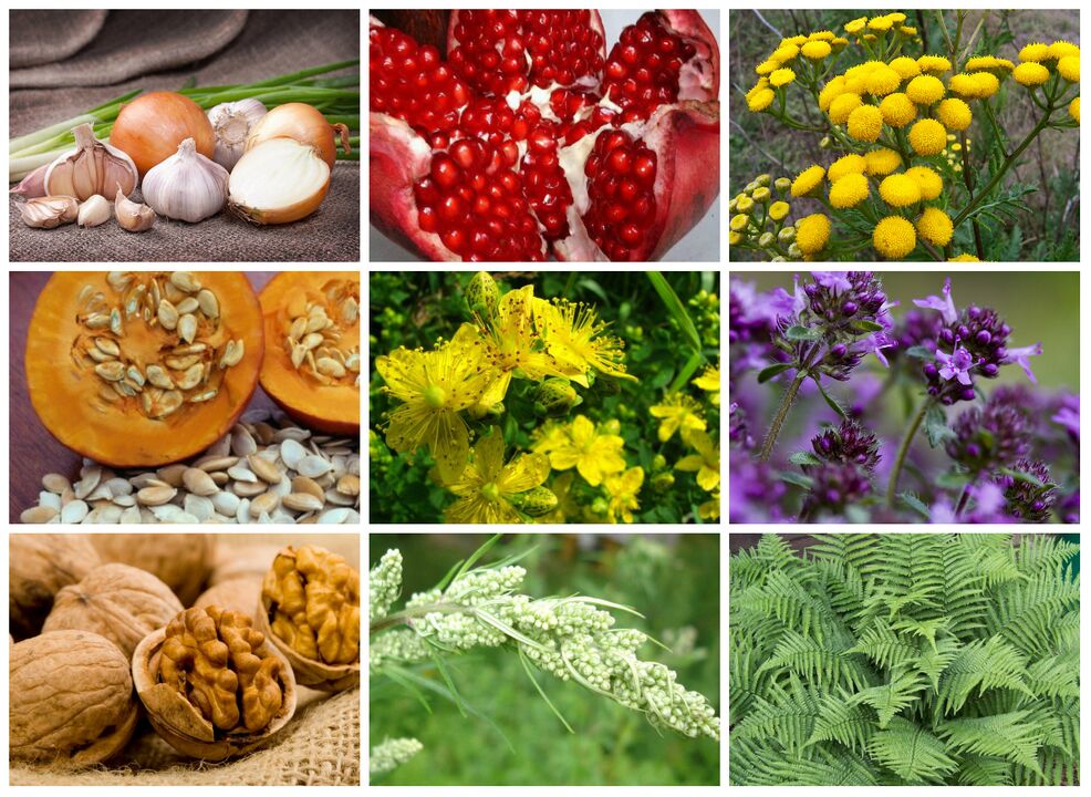 Anti-parasitic herbs