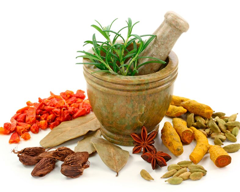 Plant material used to kill worms
